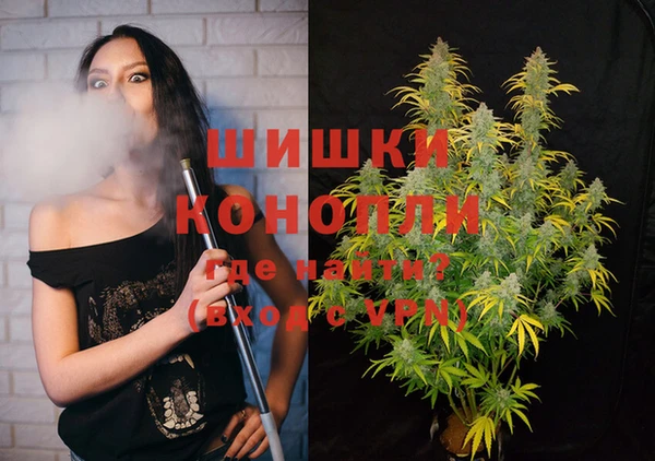 бошки Иннополис