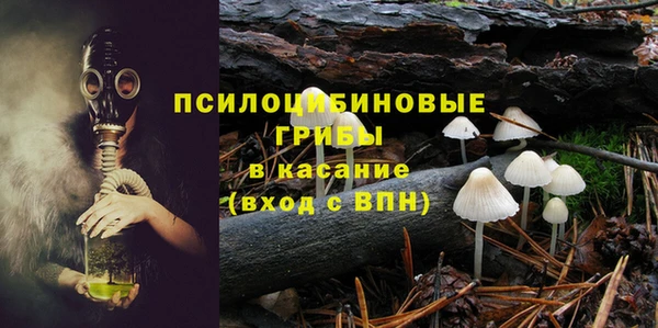 бошки Иннополис