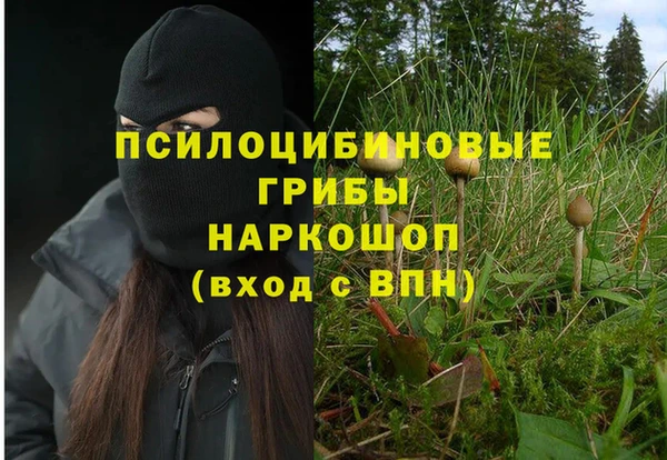 мдма Инсар