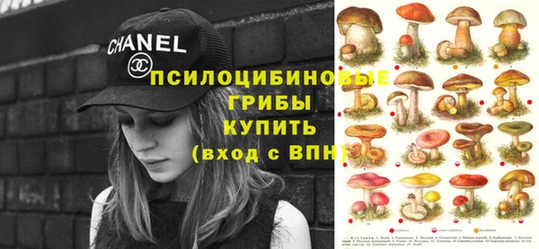 спиды Зеленодольск