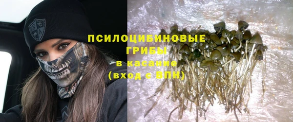 спиды Зеленодольск