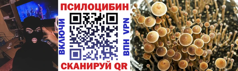 Купить закладки  Гуково  Галлюциногенные грибы мицелий 