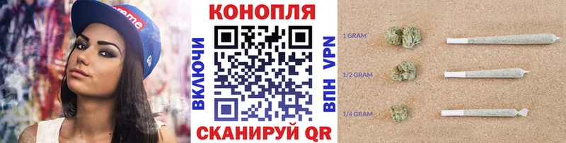 Купить  Гуково  Канабис конопля 